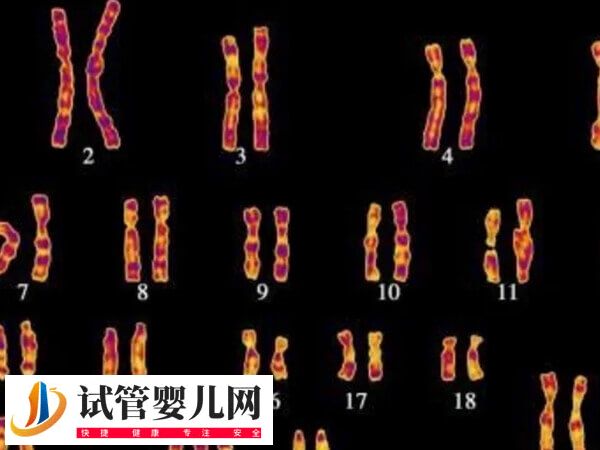 女性47三个X染色体能不能正常怀孕(图2)