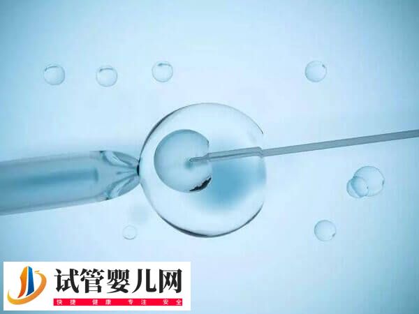 5aa囊胚移植后是不是一定生男孩(图2) 5aa囊胚移植后是不是一定生男孩(图1)