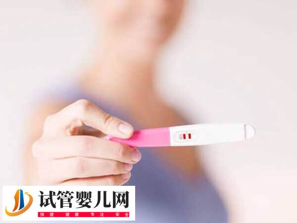 5aa囊胚移植后是不是一定生男孩(图3) 5aa囊胚移植后是不是一定生男孩(图2)