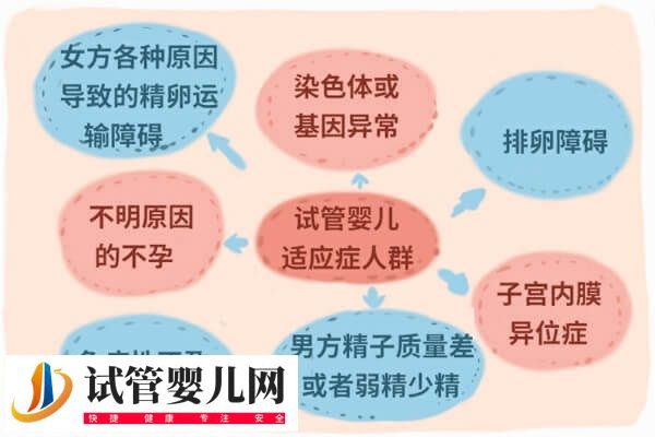 国内做第三代试管婴儿有哪些条件(图1)