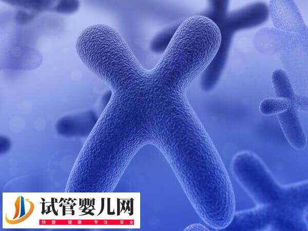 国内做第三代试管婴儿有哪些条件(图2)