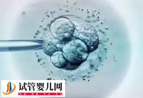 国内做第三代试管婴儿有哪些条件(图3)