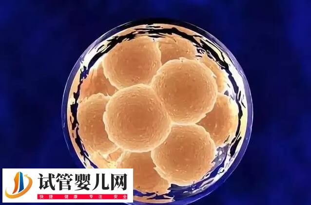 国内做第三代试管婴儿有哪些条件(图4)