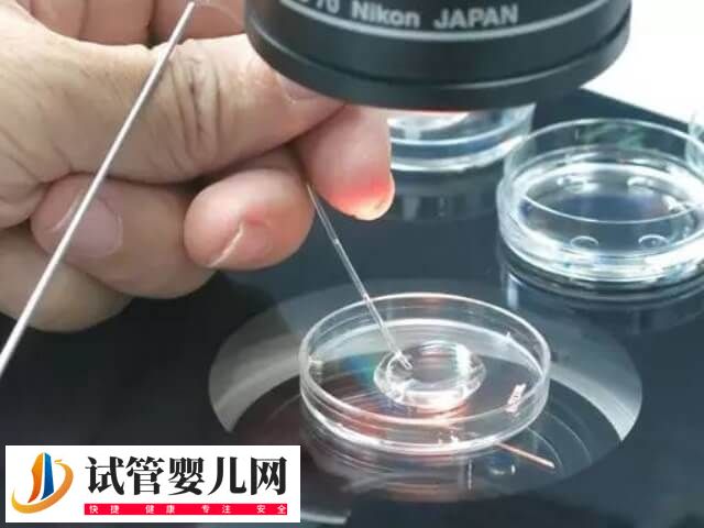 国内做第三代试管婴儿有哪些条件(图5)