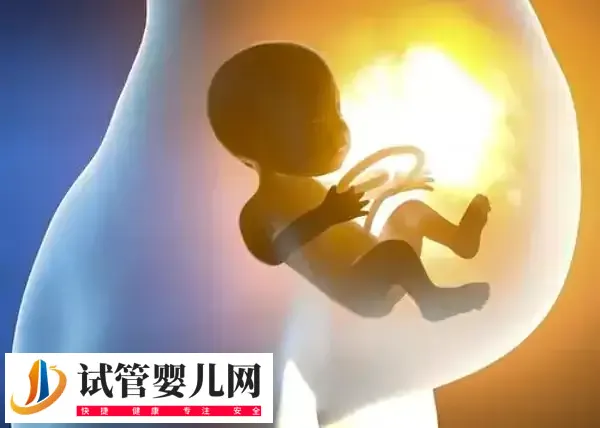 三代试管婴儿患唐氏几率高不高(图1)