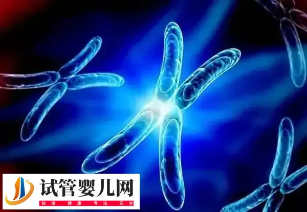 三代试管婴儿患唐氏几率高不高(图2)