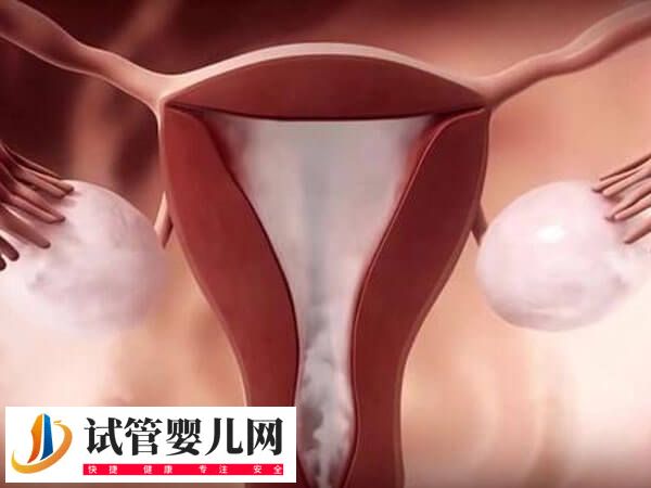 子宫切除手术有哪5种(图2) 子宫切除手术有哪5种(图2)