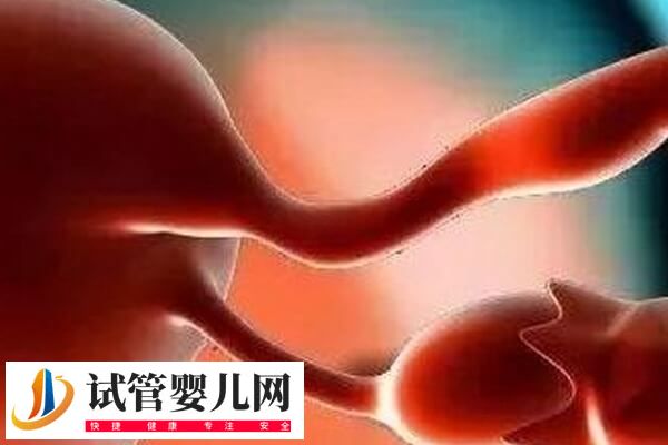 子宫切除手术有哪5种(图4) 子宫切除手术有哪5种(图4)