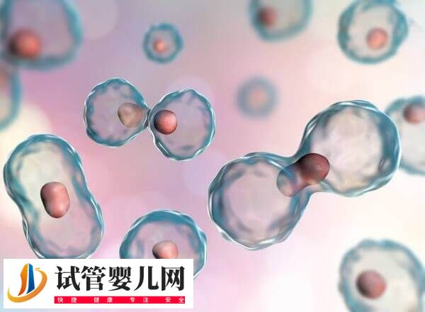 试管移植第四天出血是怎么回事(图2)