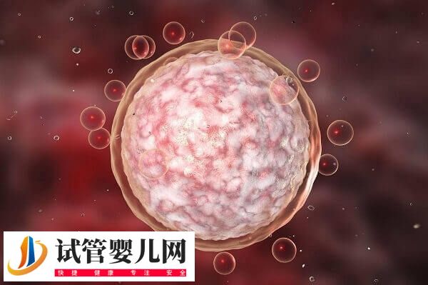 促排用多久普丽康取卵(图2) 促排用多久普丽康取卵(图2)