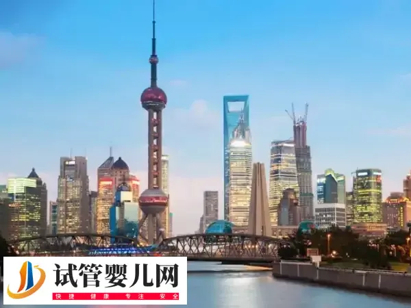 上海试管婴儿费用多少