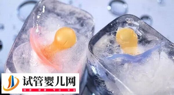 上海九院试管婴儿需要多少钱(图3) 上海九院试管婴儿需要多少钱(图3)