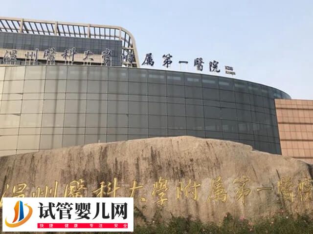 温州附一医试管婴儿多少钱