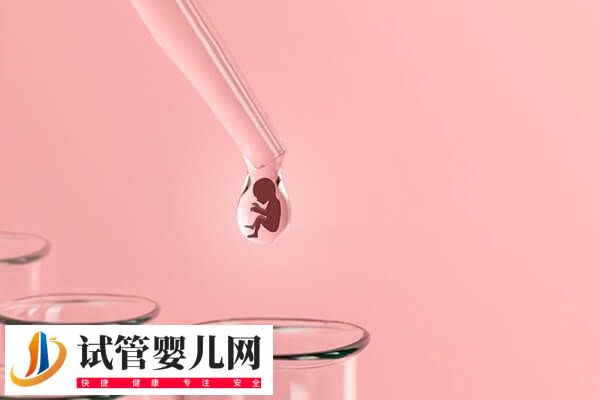 子宫小内膜薄做供卵试管婴儿前需要准备好哪些证件？(图1)