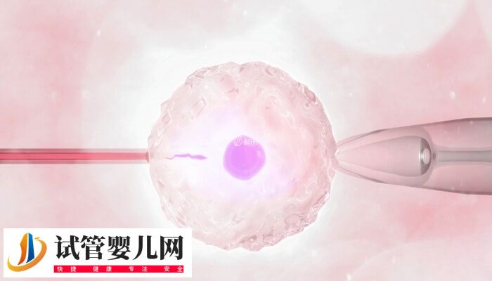 amh值0.47做试管有没有希望(图1)