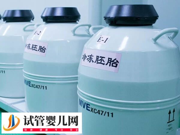 胚胎解冻升级代表什么(图1)