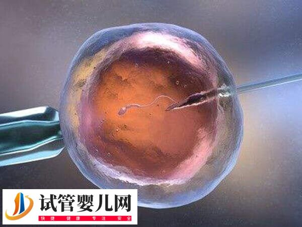 排卵过后子宫内膜多少能做试管移植