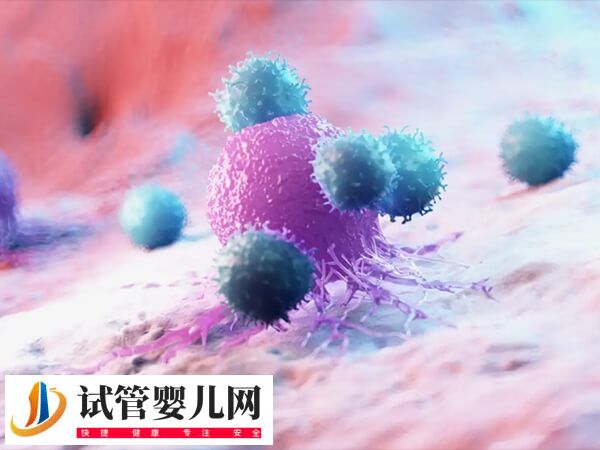 备孕外周血nk细胞比例高好还是低好？(图1)