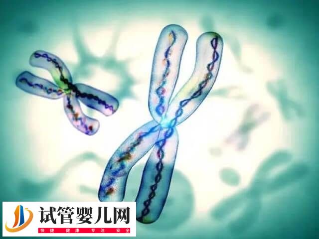 试管三代囊胚检测有没有风险(图1)