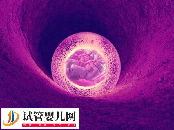 基础卵泡少试管成功案例有哪些(图1) 基础卵泡少试管成功案例有哪些(图1)