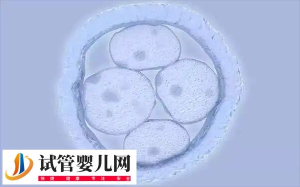 高龄做试管婴儿怎样合理备孕(图1) 高龄做试管婴儿怎样合理备孕(图1)