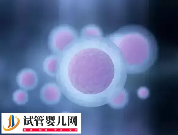 卵泡破裂会不会肚子疼(图1) 卵泡破裂会不会肚子疼(图1)