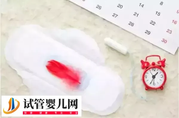 卵泡破裂会不会肚子疼(图3) 卵泡破裂会不会肚子疼(图3)