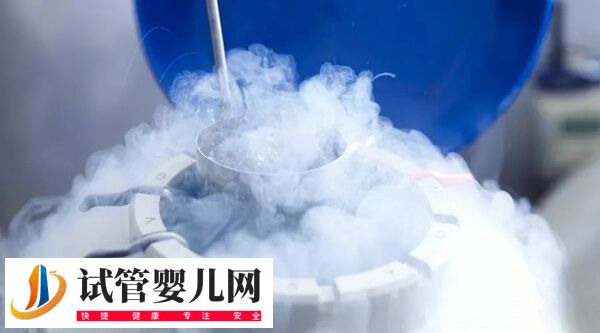 胚胎解冻移植内膜准备方案怎么选择(图1) 胚胎解冻移植内膜准备方案怎么选择(图1)