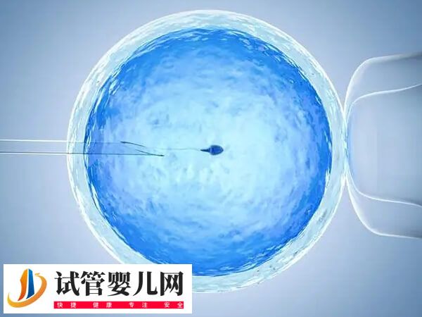 试管婴儿一次成功率有多大(图1)