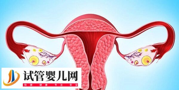 试管婴儿一次成功率有多大(图2)