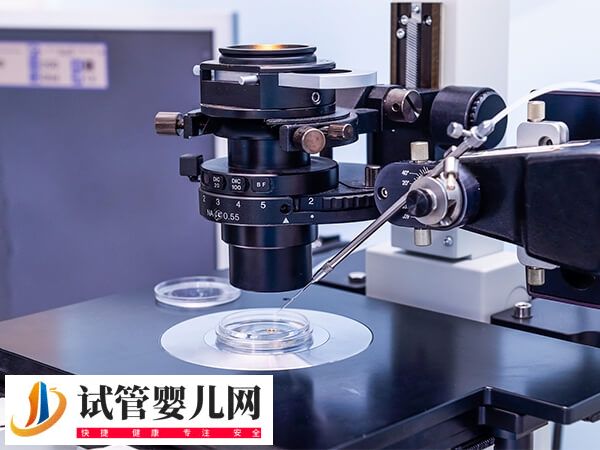 二代试管好还是三代好(图1) 二代试管好还是三代好(图1)