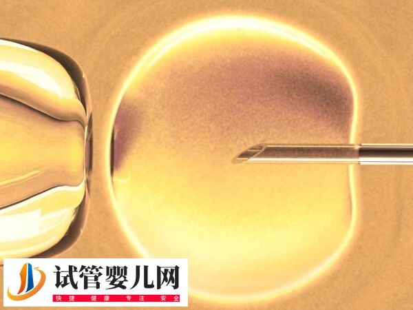 试管促排期间注意事项有哪些(图1)