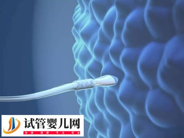 fsh促卵泡素高于20能不能做试管(图2)