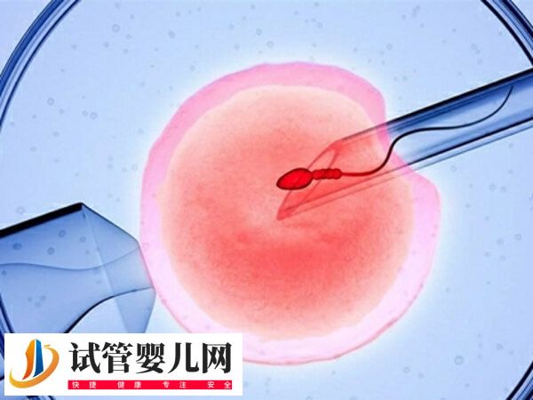 32岁子宫切除后能不能做试管(图1)