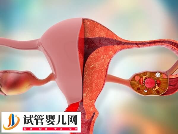 女性卵巢早衰能不能做试管婴儿(图1)