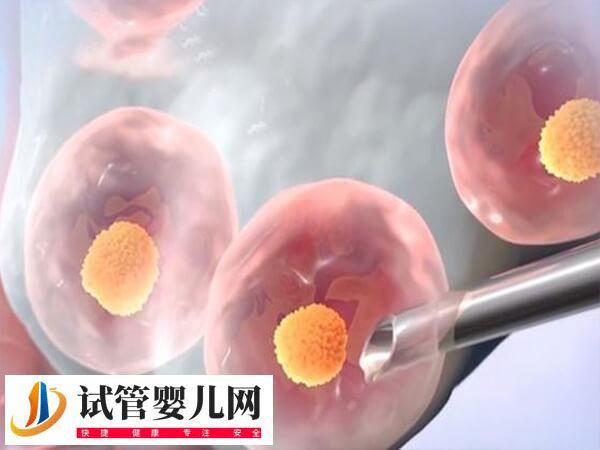 试管进入周期到移植鲜胚的过程是怎样的(图1) 试管进入周期到移植鲜胚的过程是怎样的(图1)