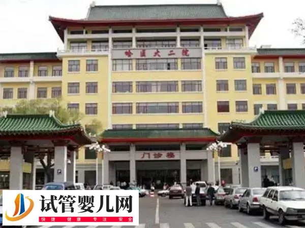 哈医大二院人工授精多少钱