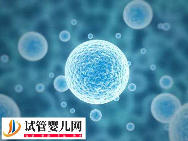 隔了3天卵泡才长了1mm正不正常(图1) 隔了3天卵泡才长了1mm正不正常(图1)