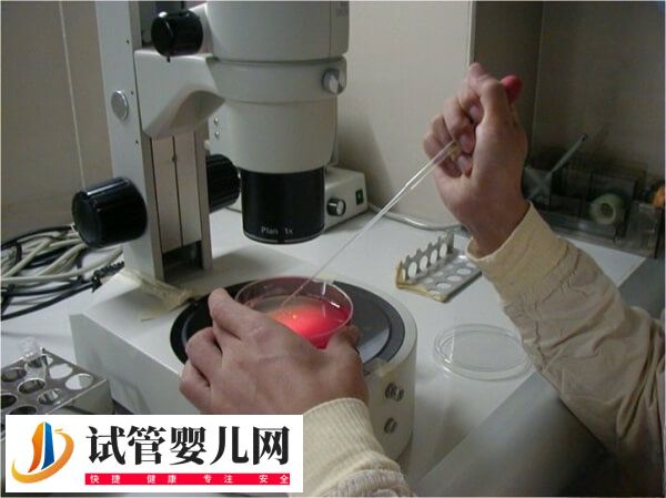 试管婴儿第几代比较好(图1)