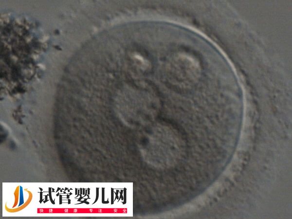 试管一代转二代会不会浪费卵子(图1)