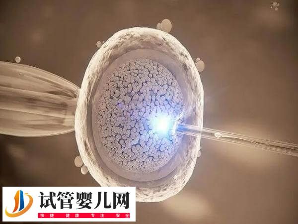 试管一代转二代会不会浪费卵子(图2)