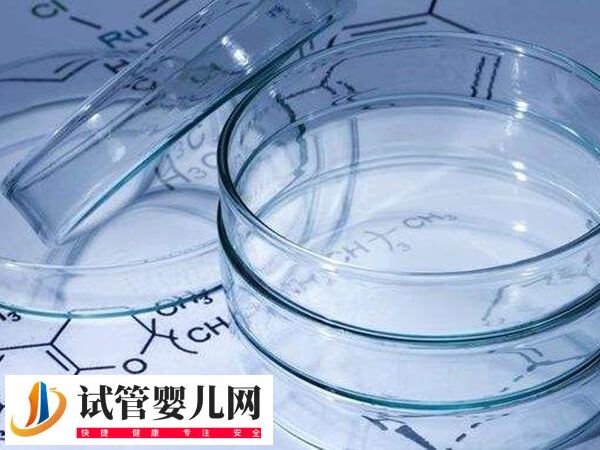 试管养囊的标准是什么(图2) 试管养囊的标准是什么(图2)