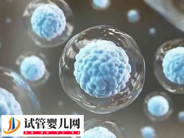 试管养囊的标准是什么(图1) 试管养囊的标准是什么(图1)