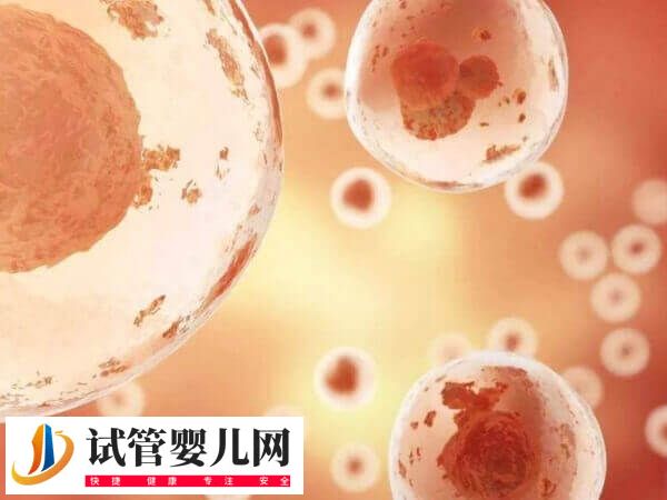 第四代试管婴儿适不适合大龄女性(图3)