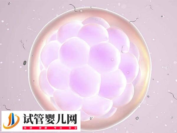 移植优质胚胎为什么不着床(图1)