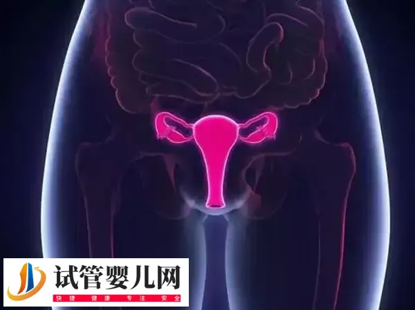 会引起不孕的子宫疾病有哪些(图1) 会引起不孕的子宫疾病有哪些(图1)