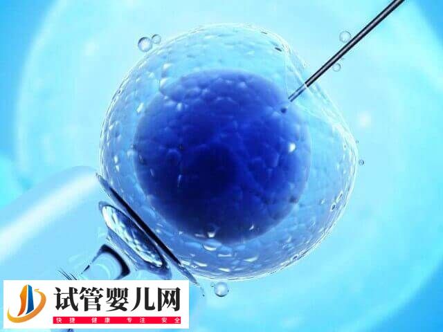 移植冻胚和鲜胚哪个有优势