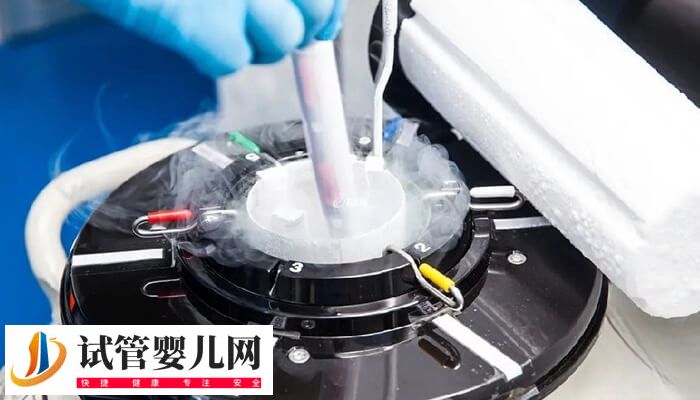 移植冻胚和鲜胚哪个有优势(图2) 移植冻胚和鲜胚哪个有优势(图2)