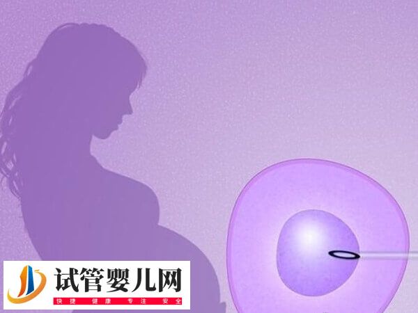 拉拉做试管婴儿前要做好什么准备