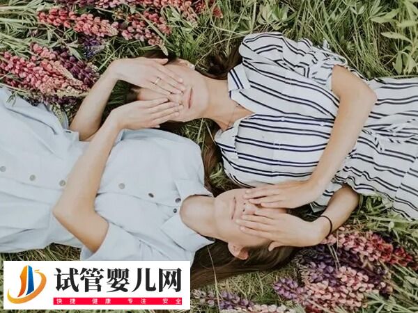 拉拉a卵b怀生的孩子怎么上户口？